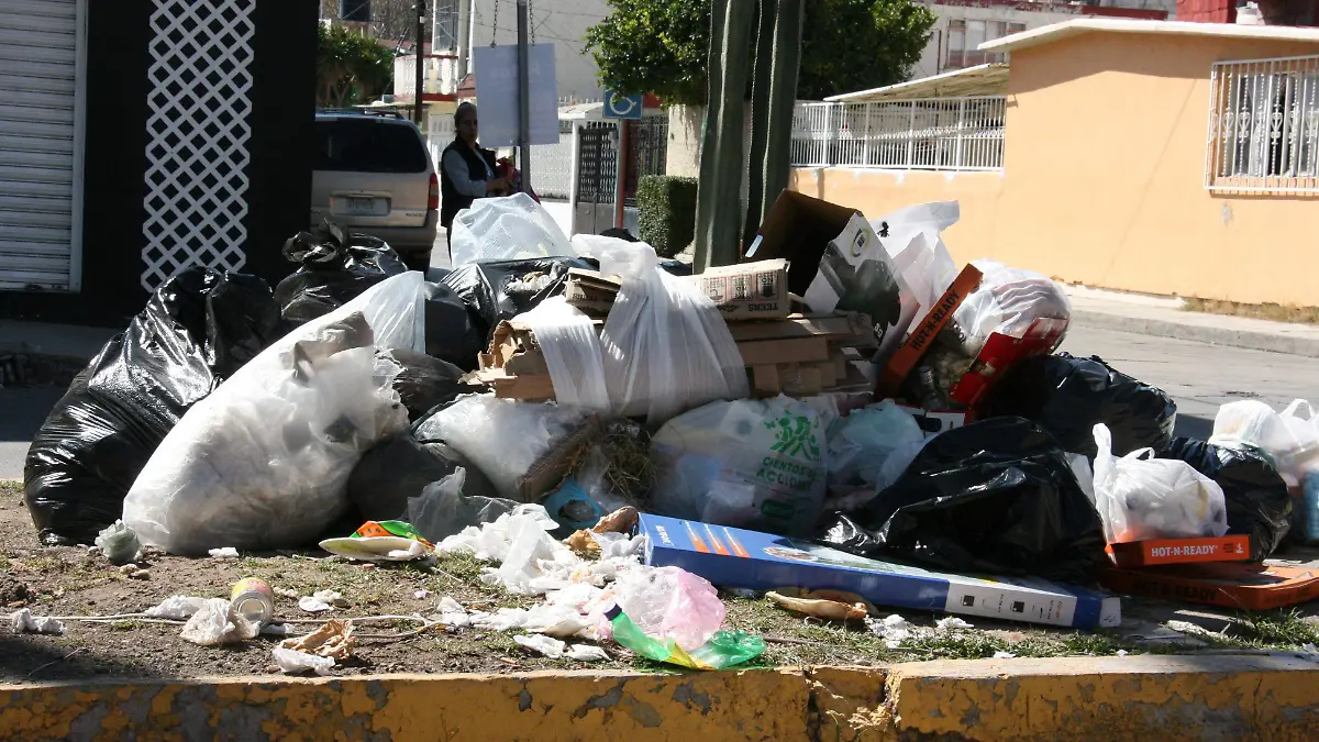 BASURA F D L VEGA  (4)